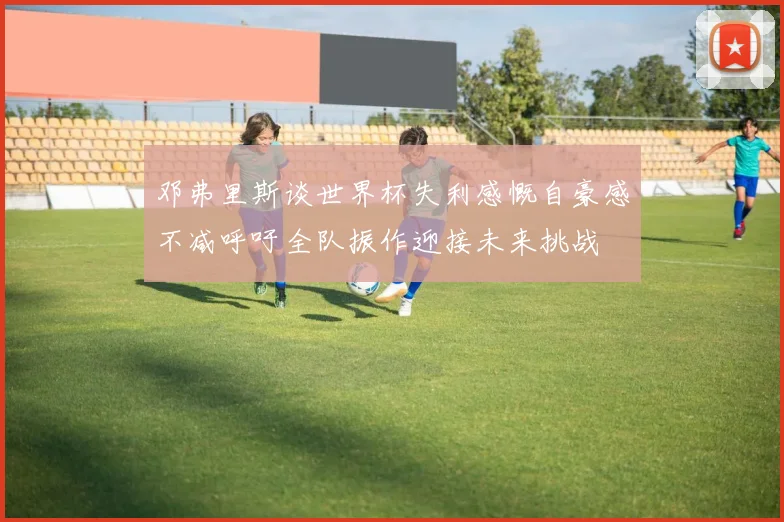 邓弗里斯谈世界杯失利感慨自豪感不减呼吁全队振作迎接未来挑战