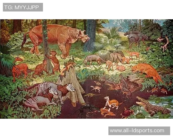 马卡分析帕斯身价将飙升至6500万并期待其持续表现超越昙花一现